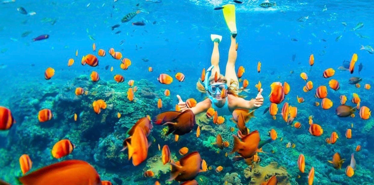 Orange bay