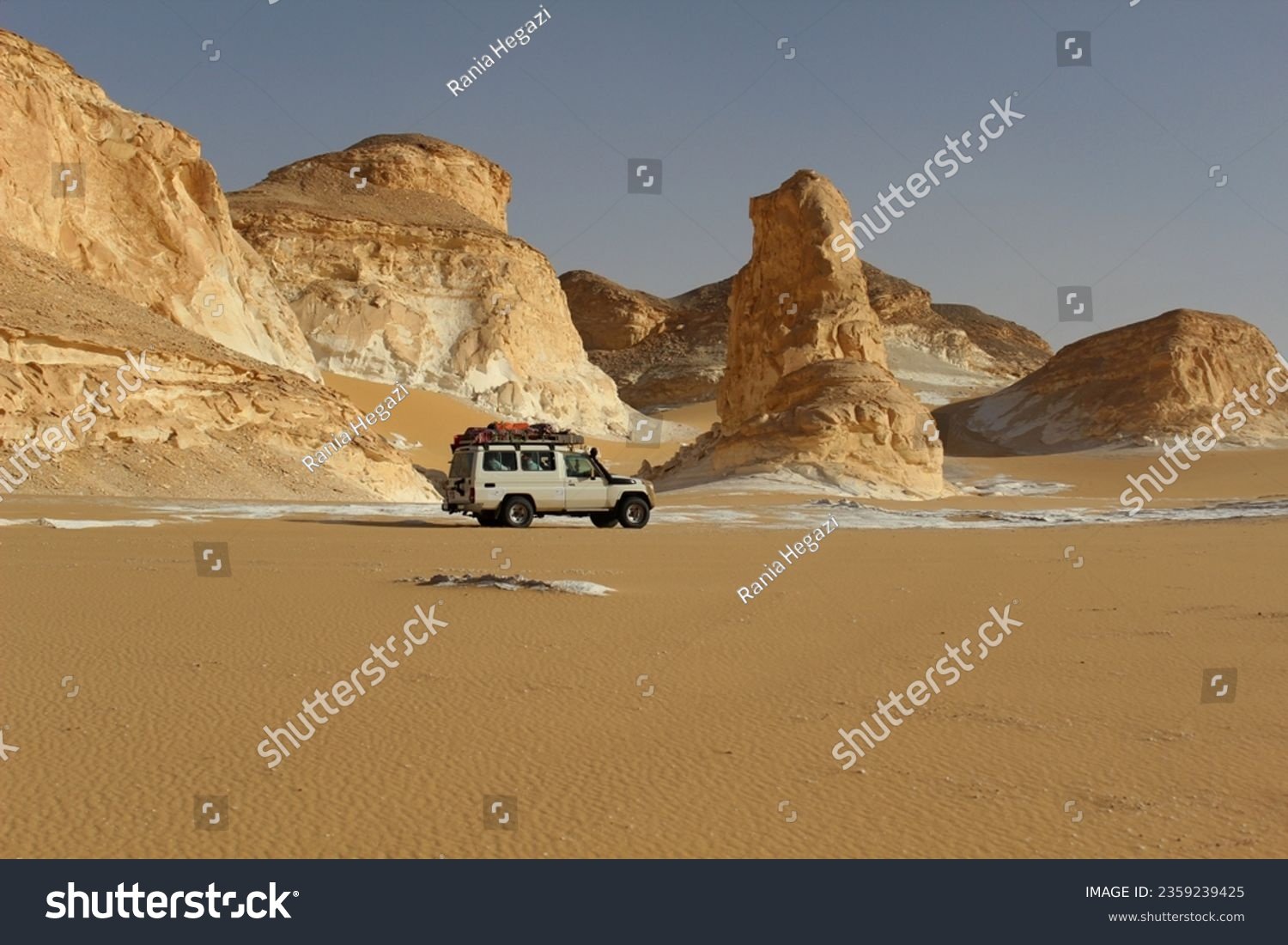 Safari Adventures Tour 1